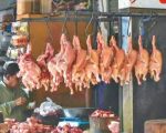 Chicken Meat Prices in Lahore: Latest Rates Issued by District Government