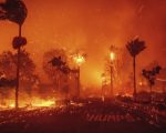 Devastating Wildfires In Los Angeles Thousands Displaced Hollywood Stars Affected