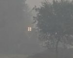 Heavy Fog Expected To Blanket Lahore Amid Cold Wave