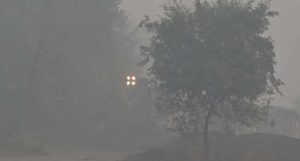 Heavy Fog Expected To Blanket Lahore Amid Cold Wave