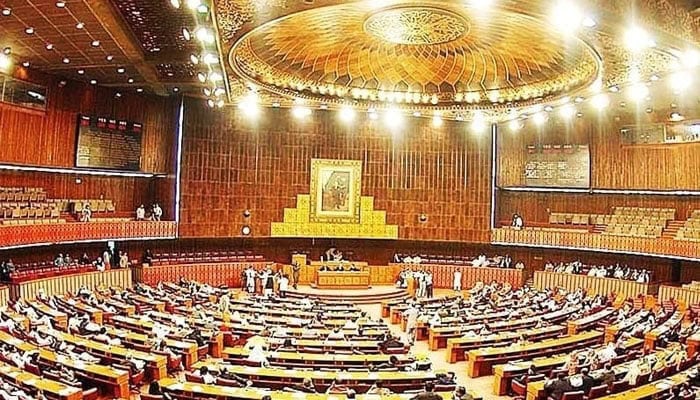 Na Passes Peca Amendment Bill Amid Opposition Protest