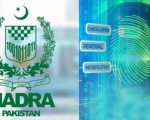 Nadra Rolls Out New Mobile App To Streamline Id Documents Process