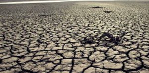 Severe Drought Conditions Loom In Pakistan As Met Office Forecasts Dry Months Ahead