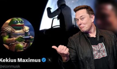 X Boss Elon Musk Changes His Profile Name To Kekius Maximus And This Is More Than Just A Meme