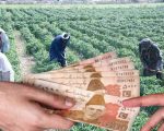 Farmers Earning Over Rs6lac To Face Super Tax Under Proposed Sindh Agricultural Law