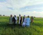 The Green Awakening A Journey Of Hope In Balochistan