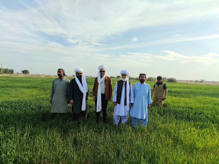 The Green Awakening A Journey Of Hope In Balochistan