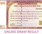 40000 Prize Bond Results March 2025 Check Winners List Online