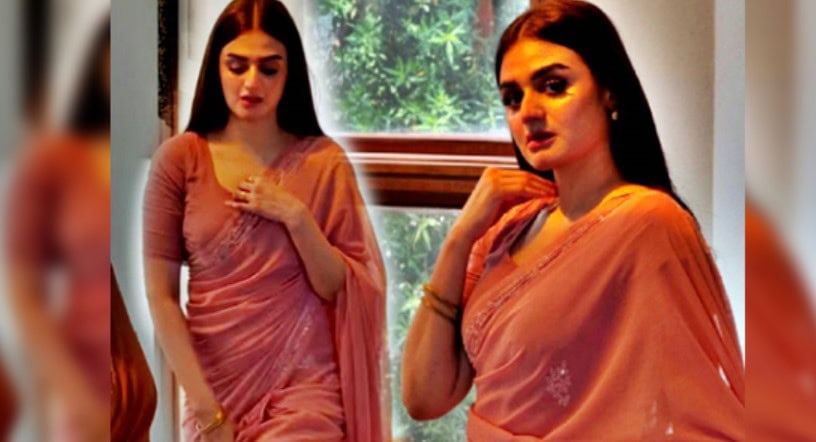 Hira Mani Rocks Saree Look In New Viral Pictures