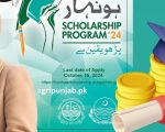 Honhaar Scholarship Program Latest Update For Students