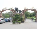 Lahore Safari Zoo To Be Closed For 15 Days