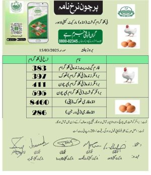 Notified Chicken Egg Rates In Lahore Today 15 March 2025 