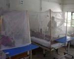 Pakistan At Risk Of Dengue Outbreak Following Heavy Rains Warns Nih