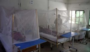 Pakistan At Risk Of Dengue Outbreak Following Heavy Rains Warns Nih