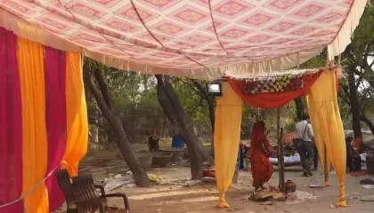Man Drives Minibus Into Wedding Guests Over Missing Paneer