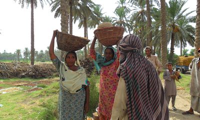 Miseries Of Women Workers In Pakistan
