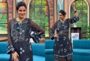 At Least Wear Proper Inner Fiza Ali Faces Backlash For Bold Dress In Tv Show