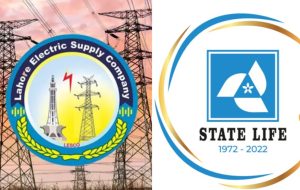 Lesco State Life Insurance Among 24 Entities Set For Privatization After Cabinets Nod