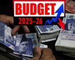 One Lac Monthly Income In Pakistan Your Income Tax May Drop 50pc After Budget 2025