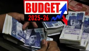 One Lac Monthly Income In Pakistan Your Income Tax May Drop 50pc After Budget 2025