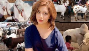 Pain Blood And Fear On Roads Alizeh Shah Shocked By Eid Ul Azha Scenes