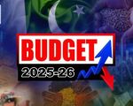 Pakistanis Earning Under Rs50000 To Get Full Tax Exemption In Budget 2025 26