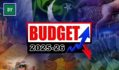 Pakistanis Earning Under Rs50000 To Get Full Tax Exemption In Budget 2025 26