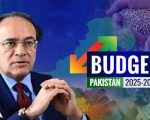 Budget 2025 Finance Minister Backs Tariff Reforms To Drive Export Led Growth