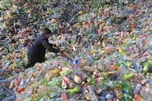 Deposit Plastic Bottles In Lahore And Get Rs1000 Punjab Govt Signs Recycling Deal