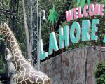 Lhc Halts Transfer Of Endangered Brazilian Monkeys To Lahore Zoo