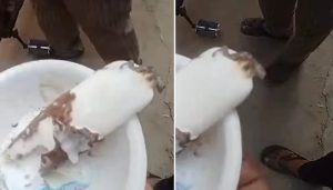 Lizard Found In Ice Cream Of 7 Year Old Boy
