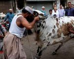 Pakistan Marks Second Day Of Eid Ul Azha With Ritual Sacrifices Family Gatherings
