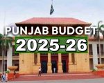 Punjab Unveils Budget 2025 Today A Look At Sector Wise Funding For Next Fy