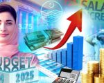 Salary Pension Increment Update For Punjab Govt Employees In Budget 2025 26