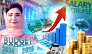 Salary Pension Increment Update For Punjab Govt Employees In Budget 2025 26