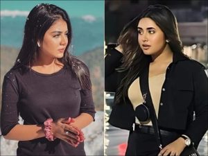 Tiktoker Areeka Haq Says Some Creators Leak Own Private Videos For Fame