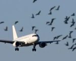Two Planes Escape Accidents At Karachi Airport