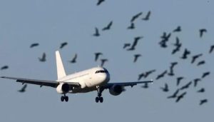 Two Planes Escape Accidents At Karachi Airport