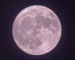 Uae Witnesses Rare Lunar Event As Strawberry Moon Appears