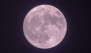 Uae Witnesses Rare Lunar Event As Strawberry Moon Appears