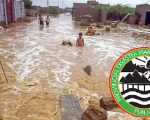 135 Dead 478 Injured In Punjab Due To Ongoing Monsoon Rains Pdma Report
