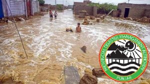 135 Dead 478 Injured In Punjab Due To Ongoing Monsoon Rains Pdma Report