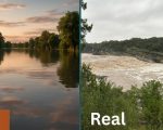 Ai Generated Pictures Are Everywhere Check This Trick To Filter Them Out On Search Engine