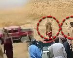 Baloch Couple Bano And Ehsan Lived Together Without Marriage For 4 Months Before Murder Journalist Claims