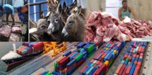 Chinese Companies Seek Licenses To Start Donkey Meat Exports From Pakistan