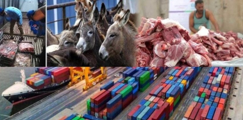 Chinese Companies Seek Licenses To Start Donkey Meat Exports From Pakistan