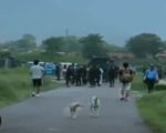 Dozens Of Quaid I Azam University Students Arrested Over Hostel Eviction Dispute