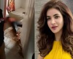 Horrific Video Shows Humaira Asghars Decomposed Body In Karachi Flat