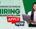 It Ministry Jobs In Pakistan 2025 Check Requirement And Apply Online