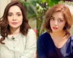 Juggun Kazim Publicly Apologises To Alizeh Shah For Inappropriate Remarks